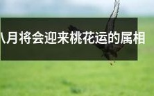 八月即将迎来拥有幸运桃花的十二生肖星座