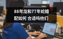 的配对是否具有良好的相容性?——探讨1988年龙和1977年蛇的成功婚配的可能性及相似性分析
