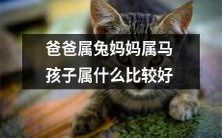 父亲为兔,母亲为马,孩子该属于哪个生肖才更好呢?
