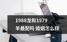 1988年出生的龙和1979年出生的羊适合结婚吗?他们的婚姻前景如何?