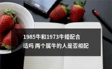 1985年出生的属牛人和1973年出生的属牛人是否适合牵手走过一生?