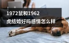 探究1972年生肖鼠和1962年生肖虎的婚姻配对,从感情表现和合适度两方面分析其婚姻关系是否牢固与成功