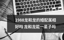 1988年生龙和龙的属相匹配是否合适?他们的婚姻是否能够长久幸福?
