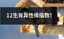 12生肖异性缘分水平大考验!谁最受欢迎?