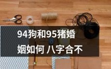 如何通过八字来判断94年出生的狗和95年出生的猪之间的婚姻配对是否合适?