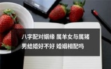 八字配对:探讨属羊女和属猪男的婚姻相容性,结婚是否是明智的决定