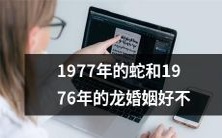 好?反思中华文化中对于“神兽”与婚姻观念的影响