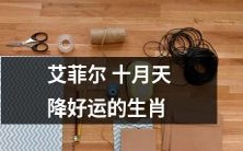2021年10月,艾菲尔铁塔为生肖带来幸运的神奇时刻