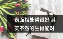 通过表面相处看不出来,但实际上并不合适的生肖配对解析