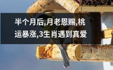 经过半个月的等待,月老厚爱垂青,三生肖迎来桃花运暴涨,感情幸福美满,真爱降临!