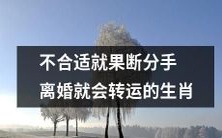 果断分手离婚能带来转运的生肖,毫不犹豫地结束不适合的关系是成功的关键!