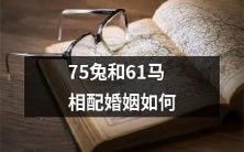 探讨75只兔和61匹马如何成功配对并建立幸福的婚姻关系?