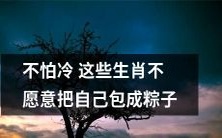 不畏严寒!这些生肖宁愿忍受冷风刺骨,也不愿将自己裹成可口的粽子
