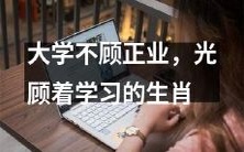 一个只关注学习而不顾正常工作的大学生肖,你是其中之一吗?
