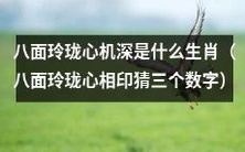 通过八面玲珑心机深的特质猜测属于哪三个生肖