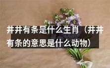 请问井井有条这个词所代表的生肖是什么?