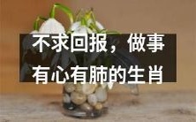 为仁义道德奋斗的无欲生肖们,以爱心做事、全情投入敬业精神无懈可击!