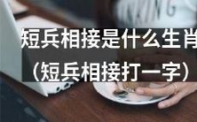 哪个生肖的特点与“短兵相接”相符?