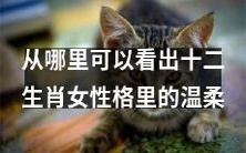如何从十二生肖女性格中寻找温柔的表现?