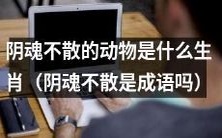 什么生肖会成为阴魂不散的动物形象?