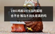 真相揭秘:1981年属鸡和1978年属马的属相合不合,究竟能否与猴马不到头产生关联?