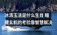 如何解密“冰清玉洁”生肖,考验你的智慧和洞见力
