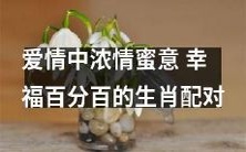 十二生肖配对指南:探寻浓情蜜意,满杯幸福的爱情奥秘