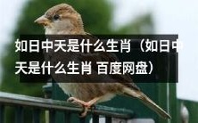 你知道如日中天代表的生肖是什么吗?