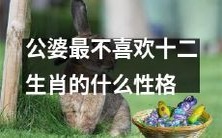 公婆偏爱哪种十二生肖性格,趋于讨厌哪种性格?