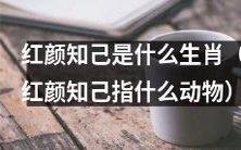 探寻红颜知己的生肖之谜:哪些动物是被赋予了红颜知己的称号?