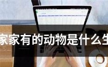 什么生肖是每个家庭都会拥有的动物呢?