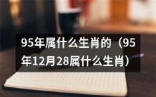 探究1995年12月28日出生的人属于哪个生肖