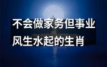 为何有些生肖不擅长家务却能事业有成?