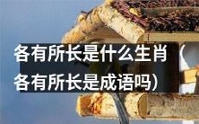 什么生肖各有所长?是否与“各有所长”这一成语有关?