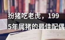 扮猪吃老虎:1995年属猪人的最佳配偶选择指南