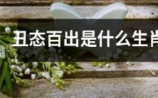 哪个生肖会频频出丑?