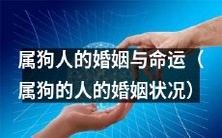 属狗人的婚姻状况对命运的影响:来自传统信仰和现代社会的双重考验