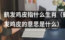 十二生肖中,鹤发鸡皮指的是什么?