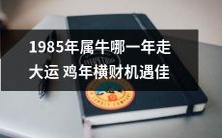 在1985年属牛的人,哪一年会遇到鸡年大运并获得丰厚的财富机遇?