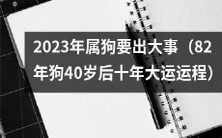 预测:2023年82年属狗人将迎来重要转机,40岁后十年大运运程将带来巨变!