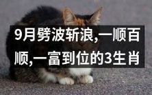 九月顺风顺水,劈波斩浪,一路顺利!这三个生肖将迎来财富和成功