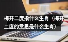 什么生肖代表着“梅开二度”,旺运持续又多一次好运的机会?