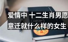 在爱情中,十二生肖男追求何种女性品质并愿意付出多少?