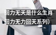 属于回力无力回天系列的问题:回力无天指向哪个生肖?