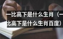 哪个生肖在“一比高下”比较中胜出