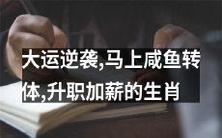 如何马上实现咸鱼逆袭,升职加薪?这些生肖有秘诀!