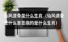 什么生肖拥有仙风道骨这样高尚的品质与性格特征?