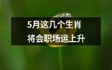 五月即将到来,这几个生肖将会在职场上运势上升!