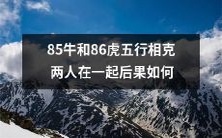 当85年出生的牛和86年出生的虎相遇时,由于五行相克的影响,会导致哪些影响和后果?