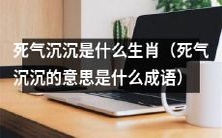 哪个生肖被形容为“死气沉沉”?